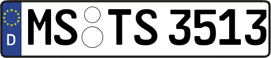 MS-TS3513