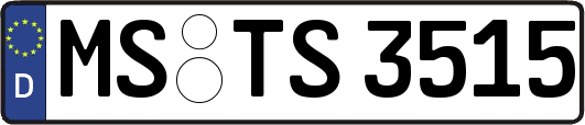 MS-TS3515