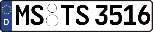 MS-TS3516