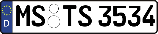 MS-TS3534