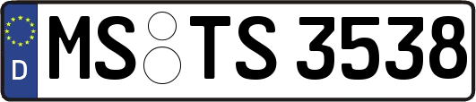 MS-TS3538