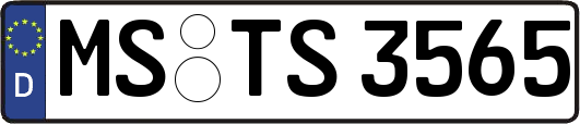 MS-TS3565