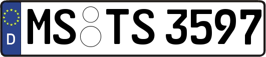 MS-TS3597