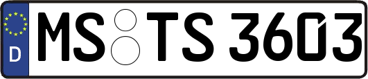 MS-TS3603