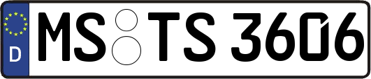 MS-TS3606