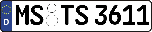 MS-TS3611