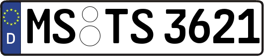 MS-TS3621