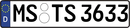 MS-TS3633