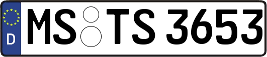 MS-TS3653