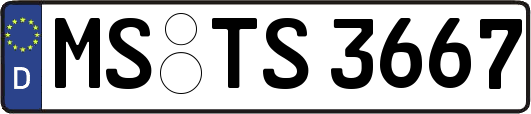 MS-TS3667