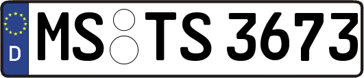 MS-TS3673