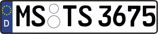 MS-TS3675