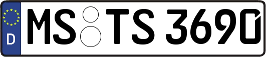 MS-TS3690