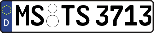 MS-TS3713
