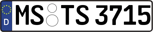 MS-TS3715