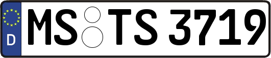 MS-TS3719