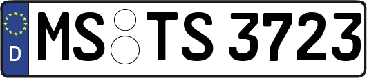 MS-TS3723