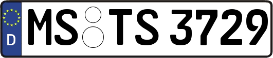 MS-TS3729