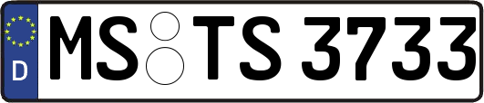 MS-TS3733