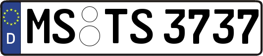 MS-TS3737