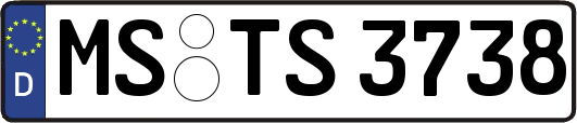 MS-TS3738
