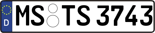 MS-TS3743