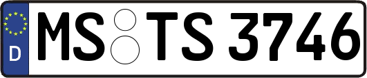 MS-TS3746
