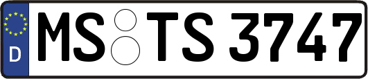 MS-TS3747