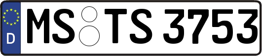 MS-TS3753
