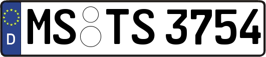 MS-TS3754