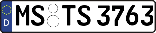 MS-TS3763