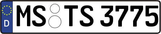 MS-TS3775