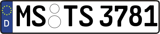 MS-TS3781