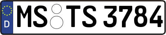MS-TS3784