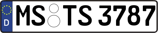 MS-TS3787