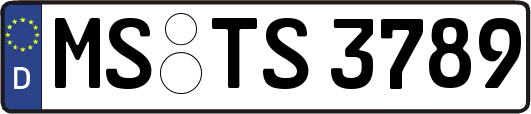 MS-TS3789