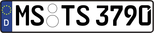 MS-TS3790