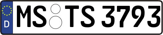 MS-TS3793
