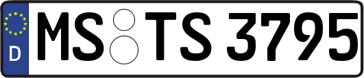 MS-TS3795