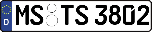 MS-TS3802