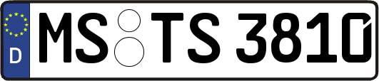 MS-TS3810