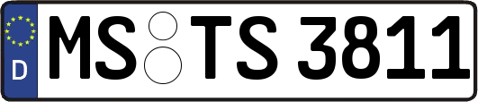 MS-TS3811