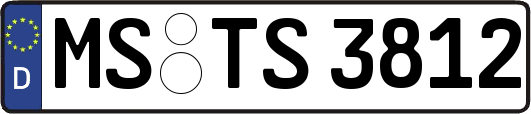MS-TS3812