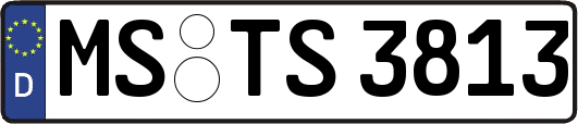MS-TS3813