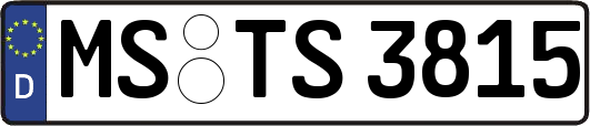 MS-TS3815