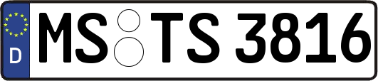 MS-TS3816