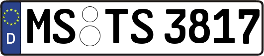 MS-TS3817