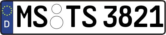 MS-TS3821