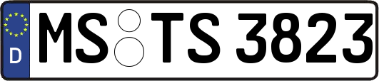 MS-TS3823
