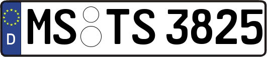 MS-TS3825